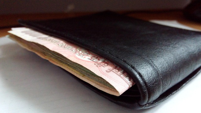 Free Purse Indian Currency photo and picture