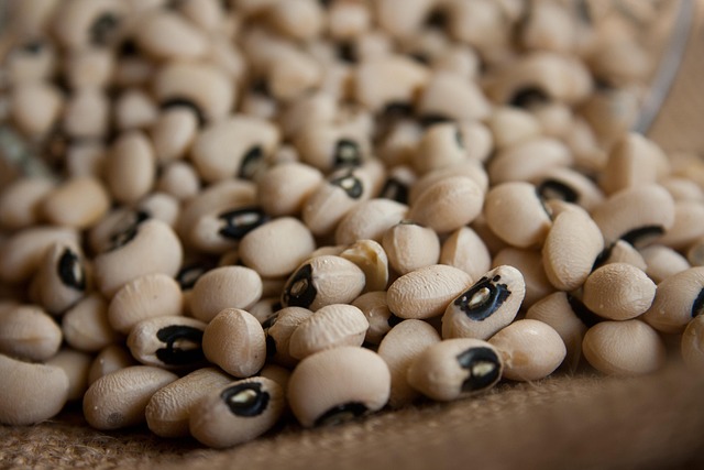 Free Kidney Beans Beans photo and picture