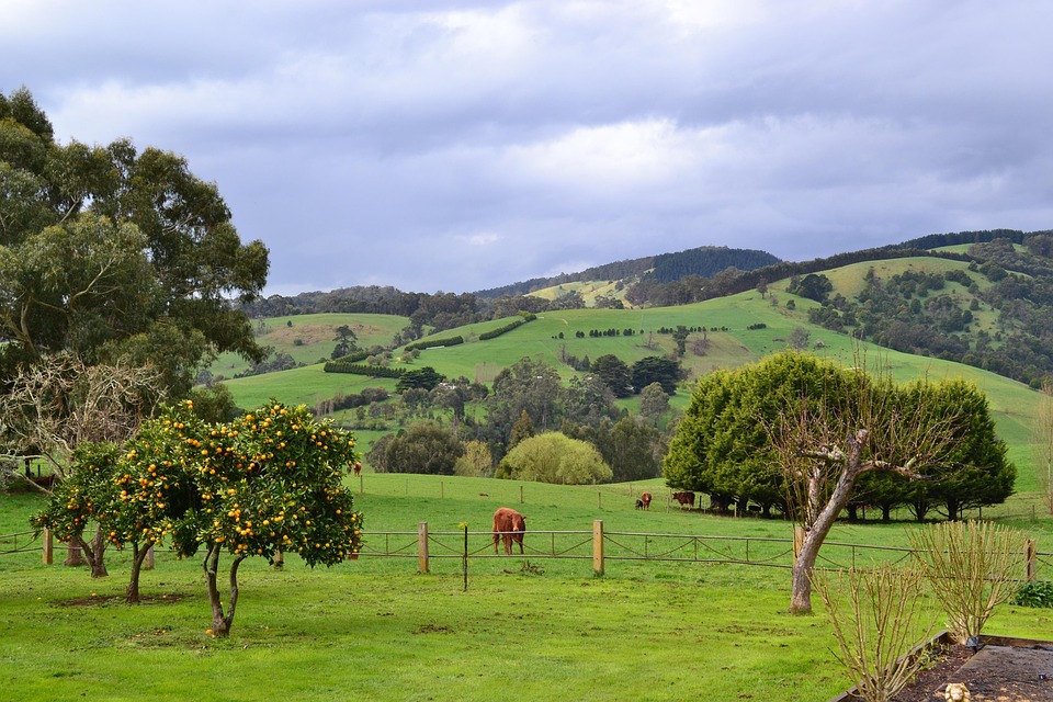 Gippsland Victoria Free photo on Pixabay Pixabay