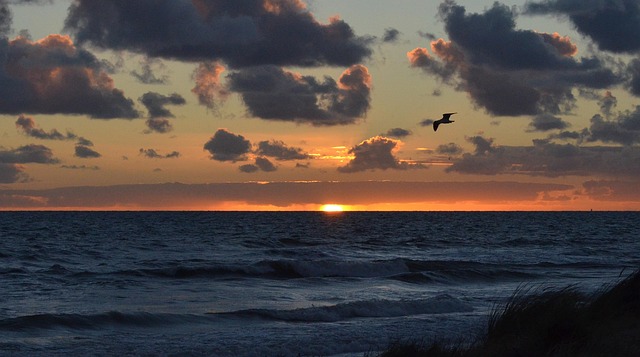 Free Sunset Sea photo and picture