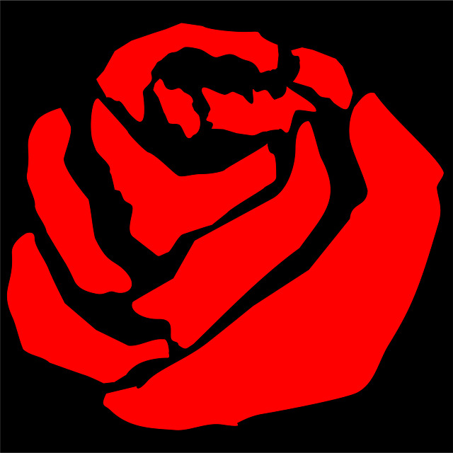 Download free HD stock image of Rose Blossom Graphic Free rose blossom graphic rose illustration