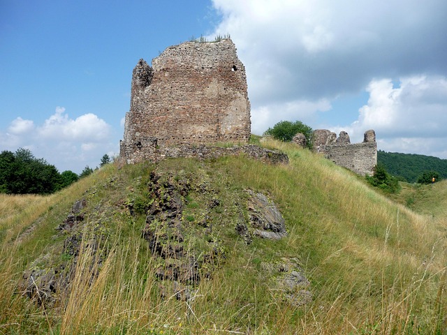 Free Lichnice Castle Roost photo and picture