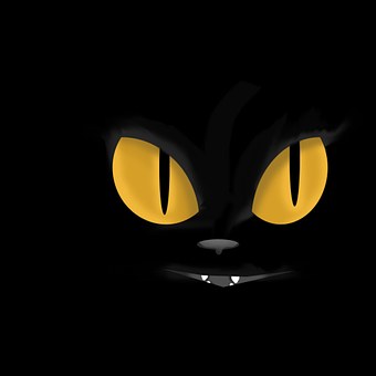 Free Cat Cat Eyes illustration and picture