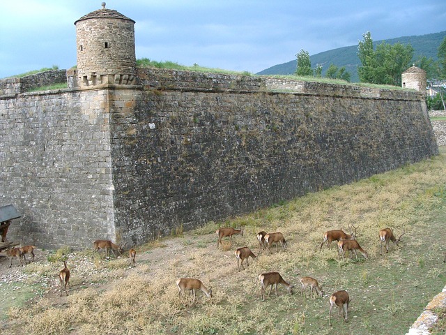 Free Citadel Fortification photo and picture