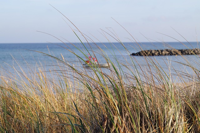 Free Baltic Sea Water photo and picture