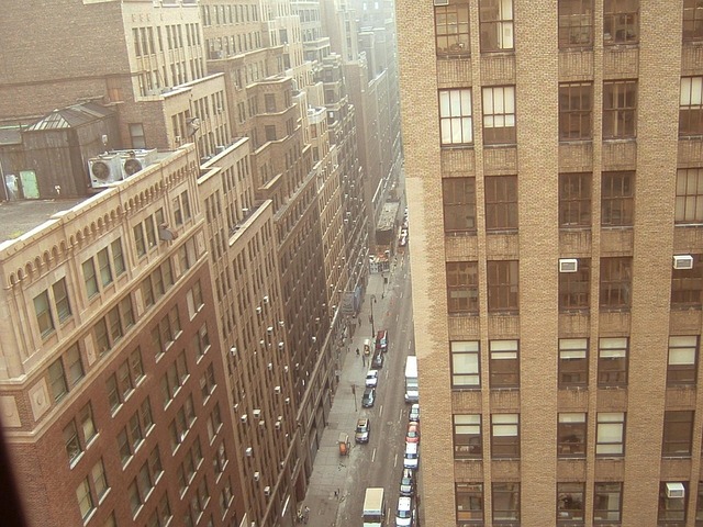 Free New York Windows photo and picture