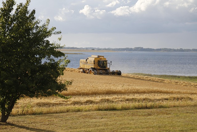 Free Barley Field photo and picture