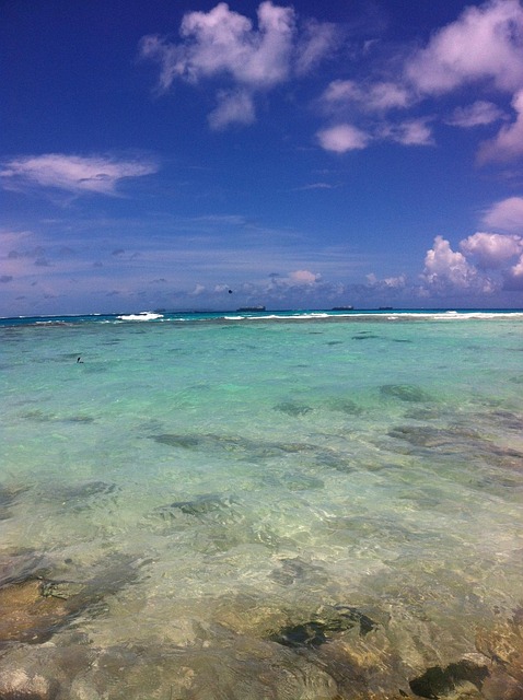 Free The Sea Crystal Clear photo and picture