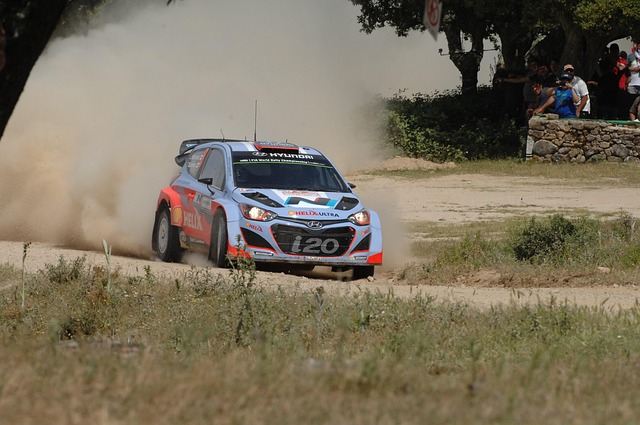 Free Rally Single-Seater photo and picture