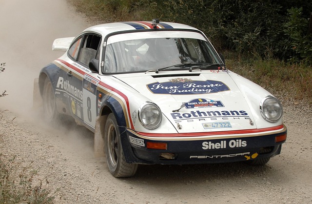 Free San Marino Rally photo and picture