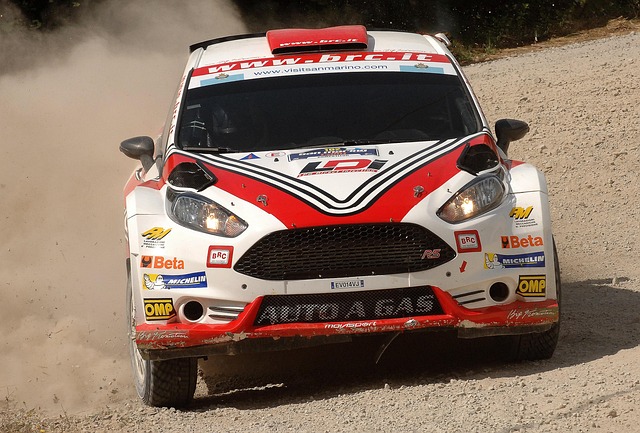 Free Single-Seater Rally photo and picture