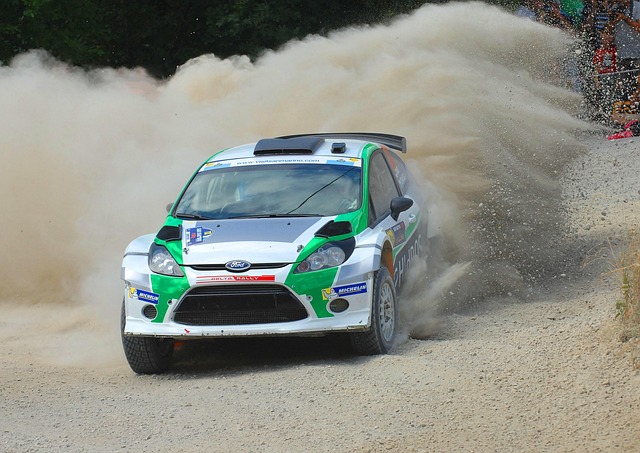 Free Rally San Marini photo and picture