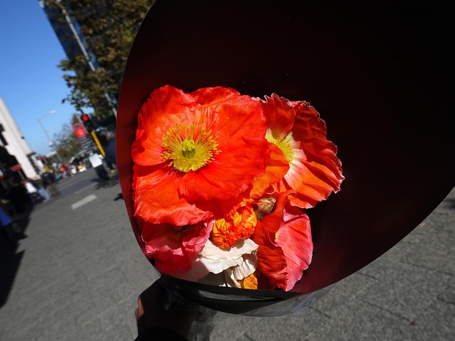 Free Flower Selling photo and picture