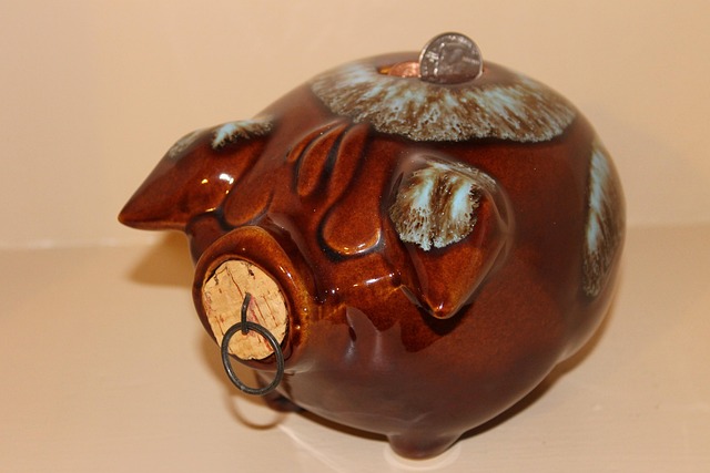 Sparschwein, Alt, Korkiges Schwein