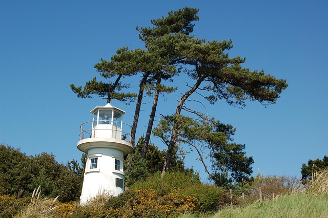 Free Lighthouse Landscape photo and picture
