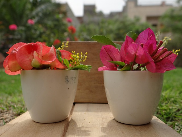 Urtepotte, Blomst, Gryde, Forår