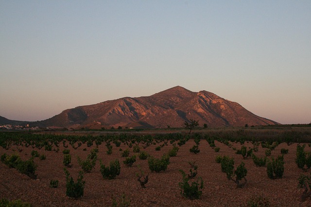 Free Algueña Alicante photo and picture