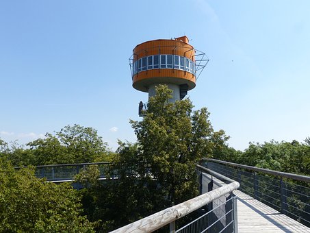 Caminho Pelas Copas Das Árvores, Hainich