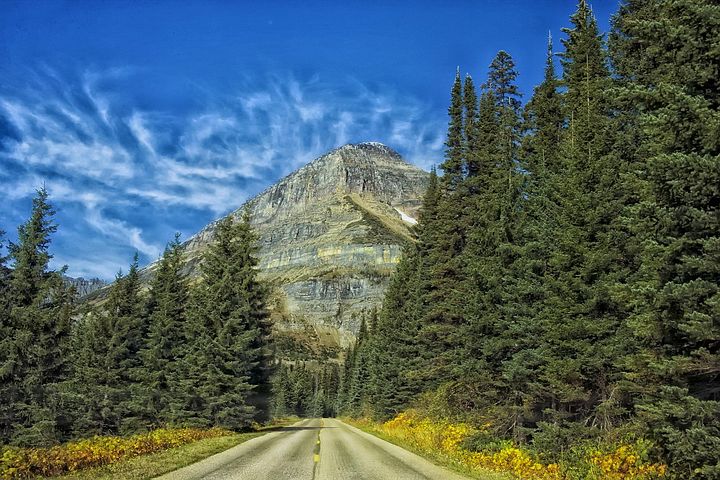 800+ Free Montana &amp; Nature Images