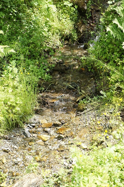 Free Stream Nature photo and picture