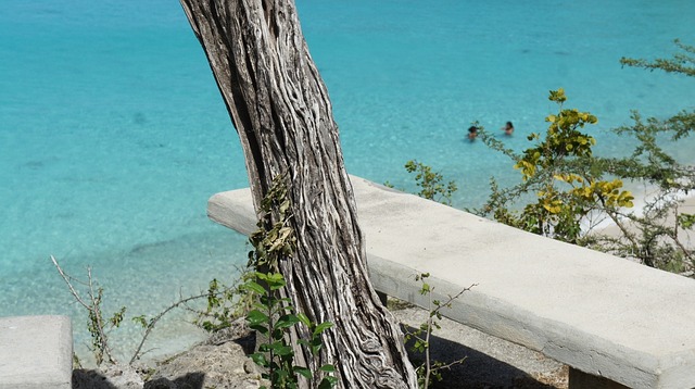 Free Curacao Stone Bench photo and picture