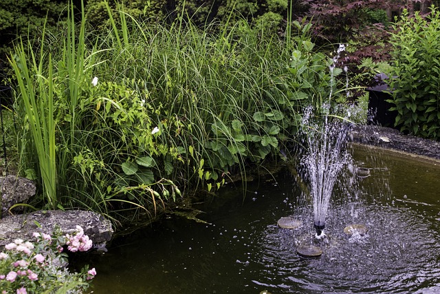Free Garden Pond photo and picture