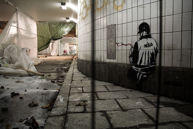 Free Nsa Graffiti photo and picture
