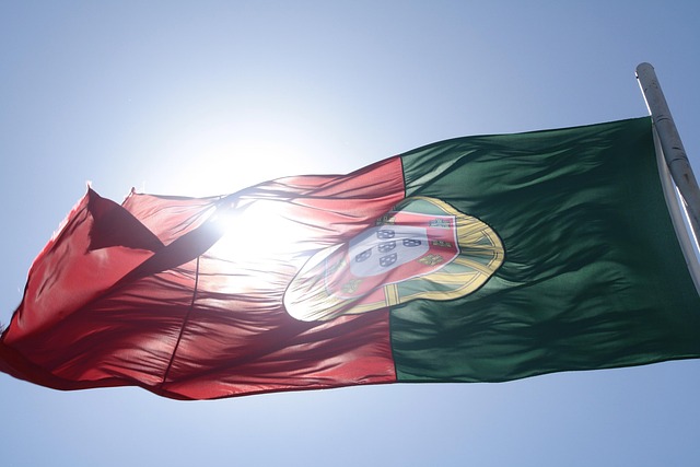 Free Portugal Flag photo and picture