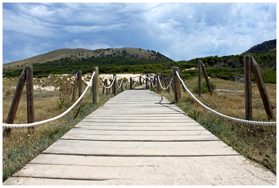 Bridge Web Path - Free photo on Pixabay - Pixabay