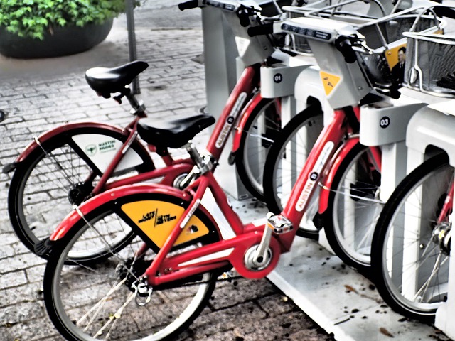 Free Bike Rental Bike photo and picture