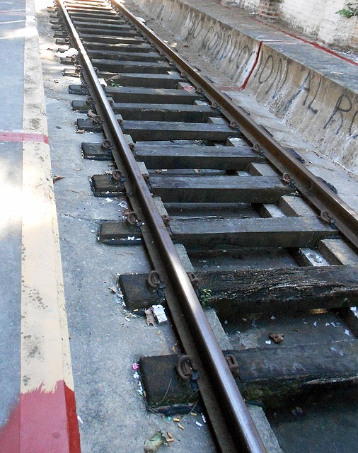 Free Lane Train photo and picture