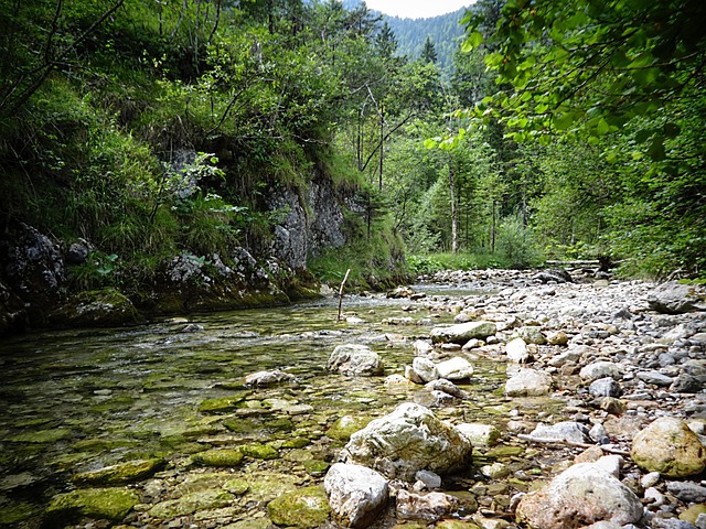 Free Weißbach Bach photo and picture