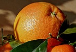 mandarins, oranges, fruit