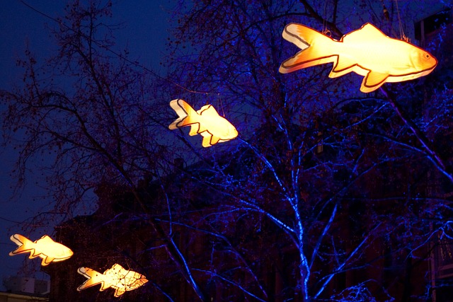 Free Lamps Lighting photo and picture