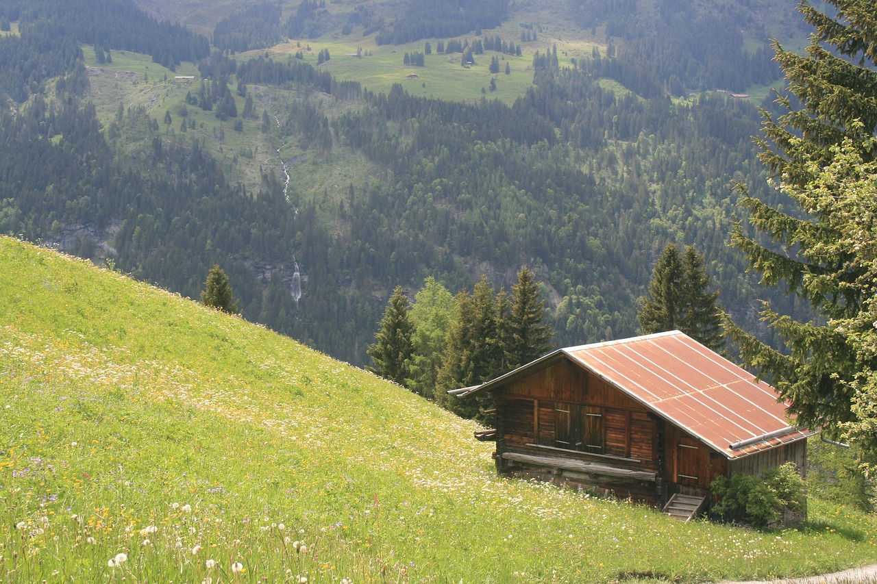 Chalet - free online jigsaw puzzle photo