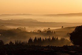 Landscape, Valley, Mist, Misty