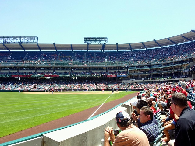 Free Angels Stadium Baseball photo and picture