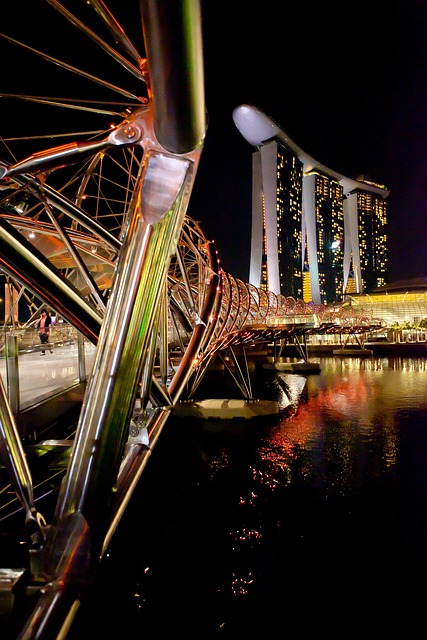 Singapur, Natur, Geschäft, Nachtsicht