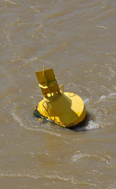 Free Buoy Water photo and picture