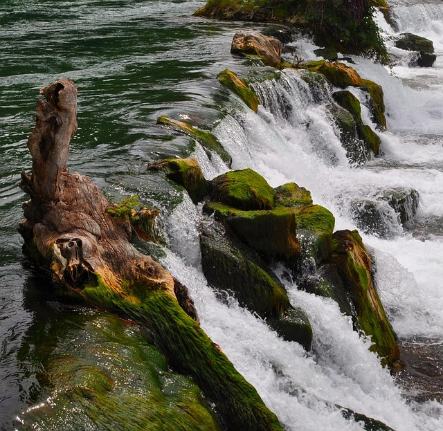 Free Waterfall Rhine Falls photo and picture