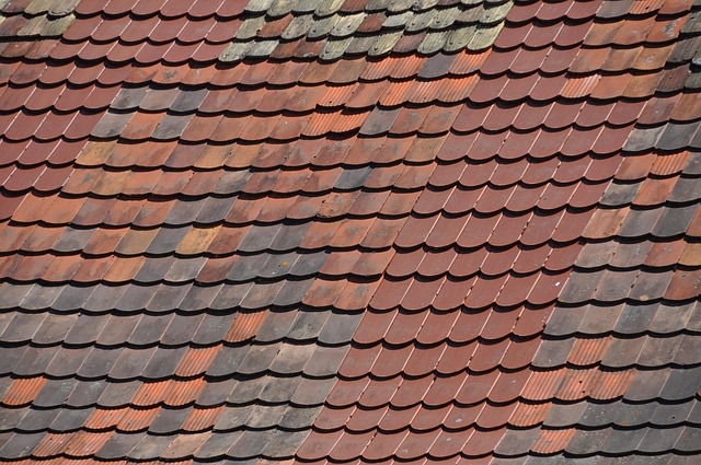 Free Roof Panels Roof photo and picture