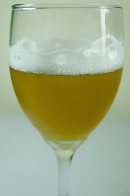 Free Beer Beverage photo and picture
