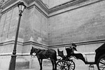 horse carriage, carriage, horses