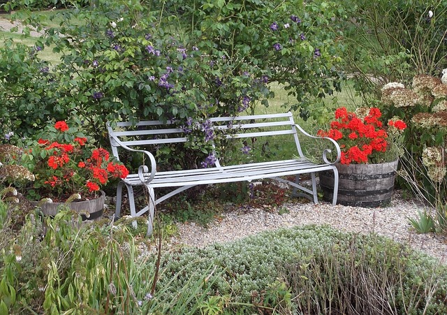 Free Bench Garden photo and picture