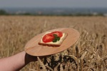 bread, grain, cereals