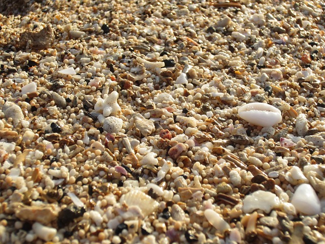 Free Sand Beach photo and picture