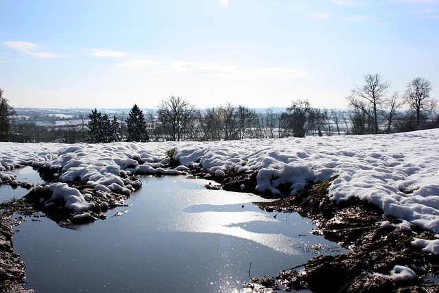 Free Snow Winter photo and picture