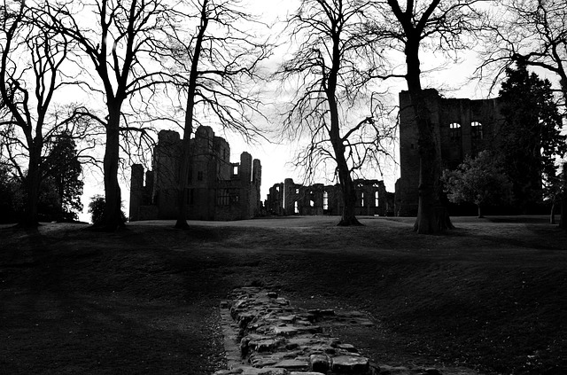 Free Castle Dark photo and picture