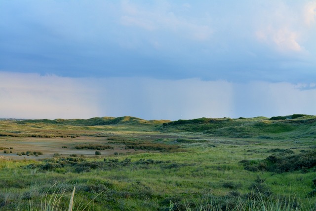 Free Rain Dunes photo and picture