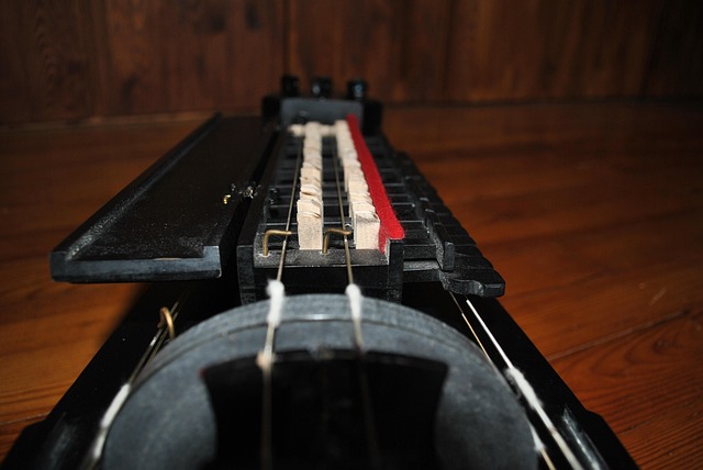 Free Hurdy Gurdy Instrument photo and picture